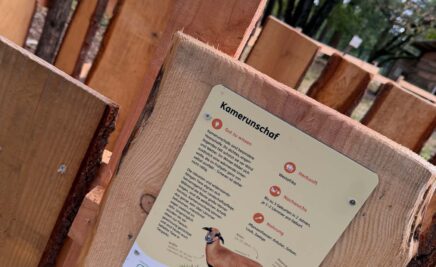 Neue Tierschilder des Streichelbereichs bei den Kamerunschafen Neue Tierschilder des Streichelbereichs bei den Kamerunschafen