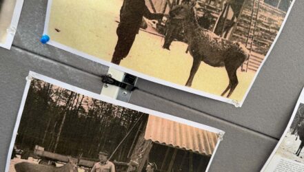 Jubiläumsfest 60 Jahre Wildfreigehege Jubiläumsfest 60 Jahre Wildfreigehege