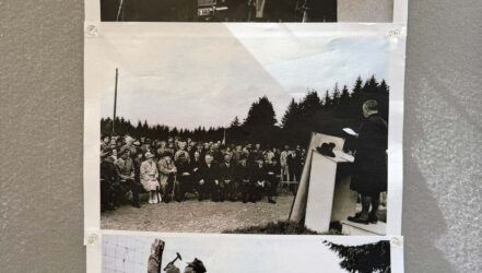 Jubiläumsfest 60 Jahre Wildfreigehege Jubiläumsfest 60 Jahre Wildfreigehege