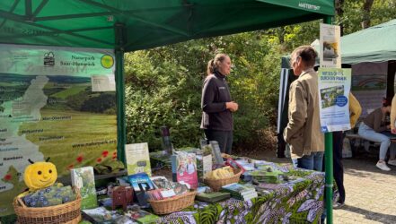 Jubiläumsfest 60 Jahre Wildfreigehege Jubiläumsfest 60 Jahre Wildfreigehege