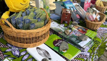 Jubiläumsfest 60 Jahre Wildfreigehege Jubiläumsfest 60 Jahre Wildfreigehege
