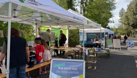 Jubiläumsfest 60 Jahre Wildfreigehege Jubiläumsfest 60 Jahre Wildfreigehege