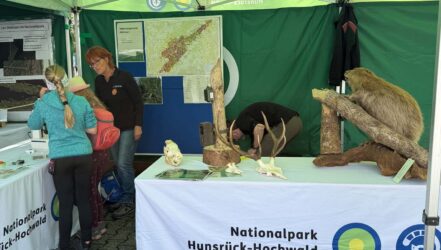 Jubiläumsfest 60 Jahre Wildfreigehege Jubiläumsfest 60 Jahre Wildfreigehege