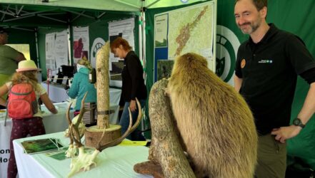 Jubiläumsfest 60 Jahre Wildfreigehege Jubiläumsfest 60 Jahre Wildfreigehege